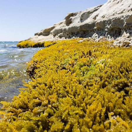 Casotto Il Carrubo, A 100 Mt Dal Mare! Villa Avola Dış mekan fotoğraf