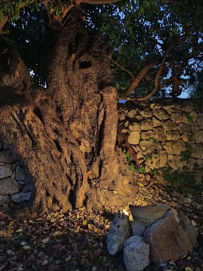 Casotto Il Carrubo, A 100 Mt Dal Mare! Villa Avola Dış mekan fotoğraf