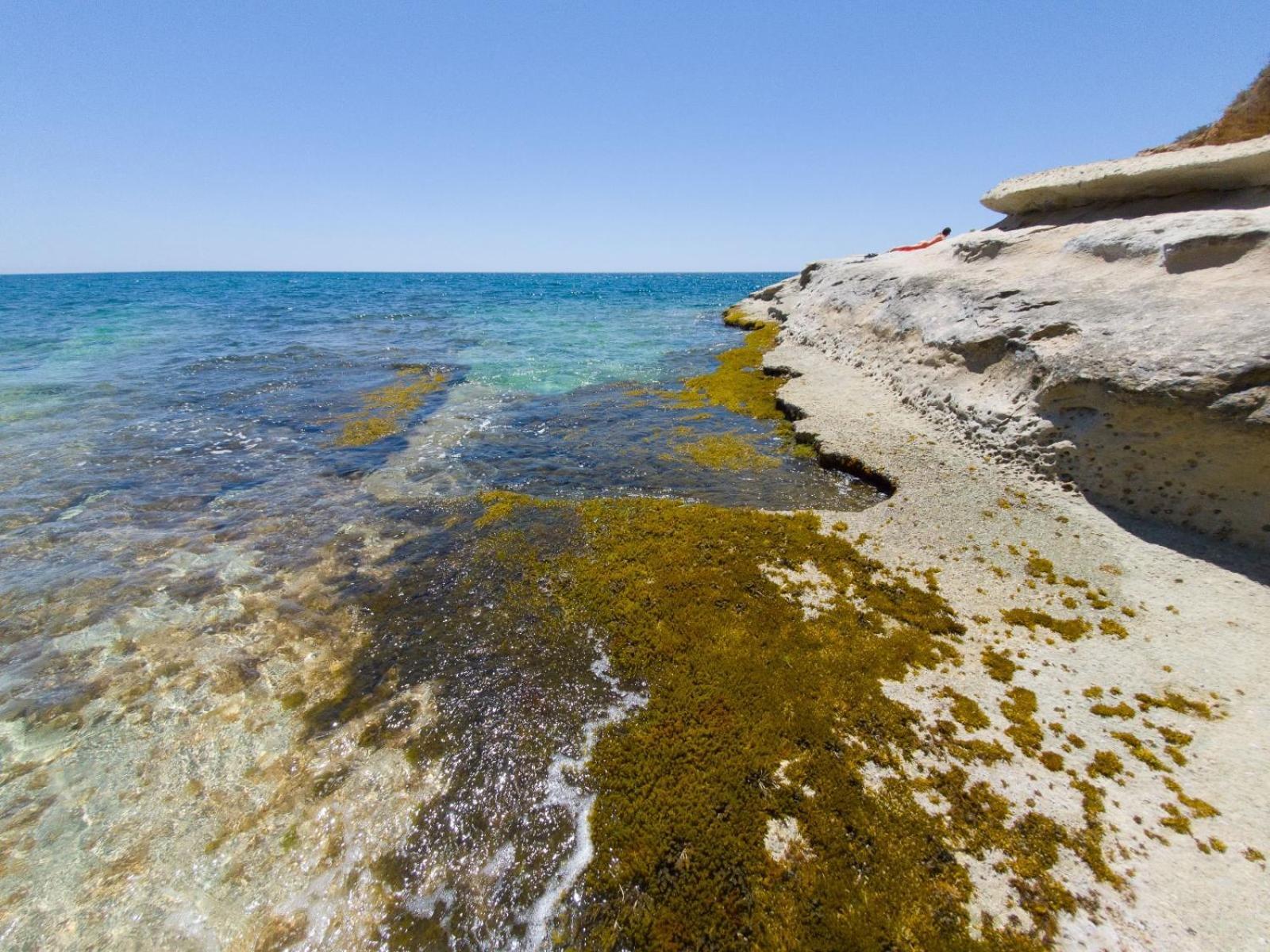 Casotto Il Carrubo, A 100 Mt Dal Mare! Villa Avola Dış mekan fotoğraf