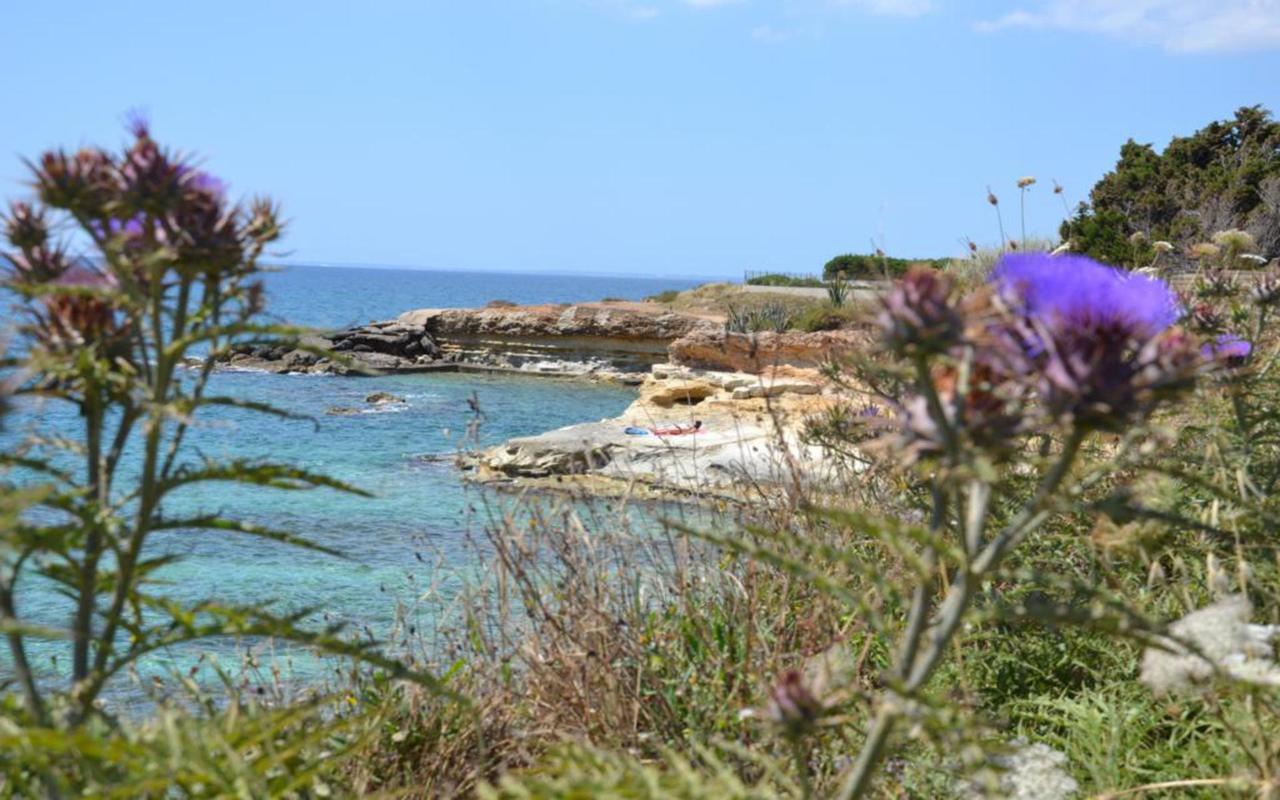 Casotto Il Carrubo, A 100 Mt Dal Mare! Villa Avola Dış mekan fotoğraf